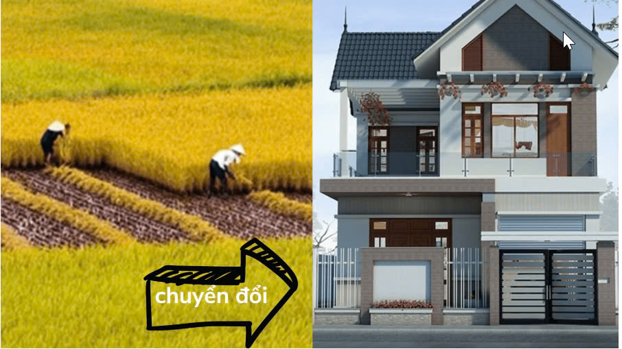Biến đất trồng lúa thành đất ở sẽ bị phạt tới 400 triệu đồng