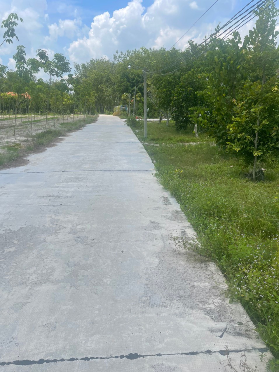Đất nền Chơn Thành giá rẻ sổ hồng riêng