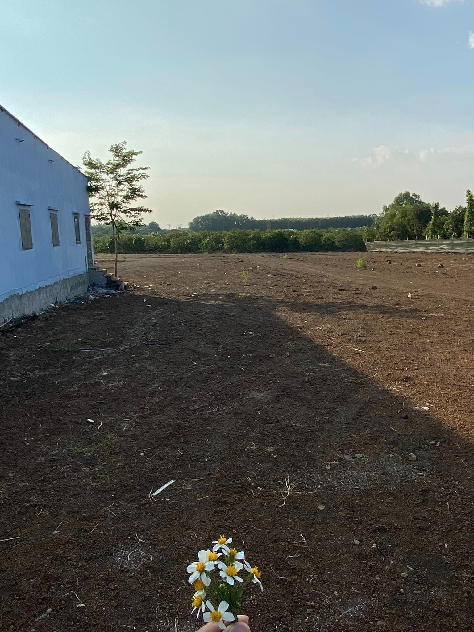 bán đất sào hơn 1000m2  giá hạt dẻ cho các nhà đầu tư